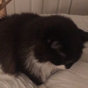 Meet your Posher, Sierra